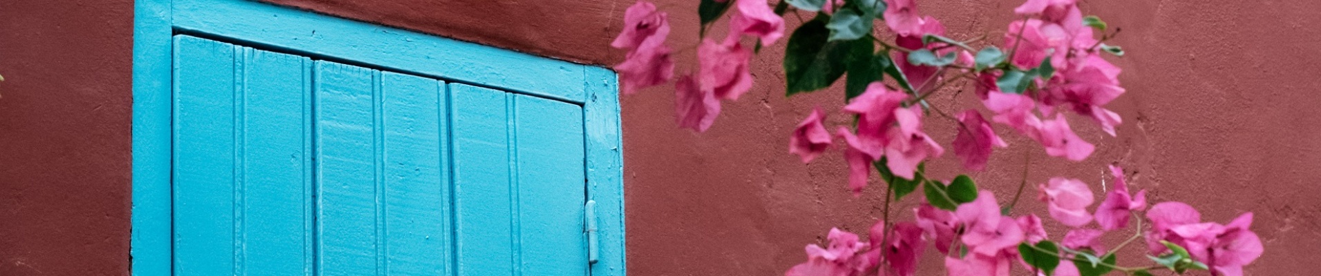 fenêtre bleu sur mur rouge avec fleur de bougainvillier sur l'île de Gorée